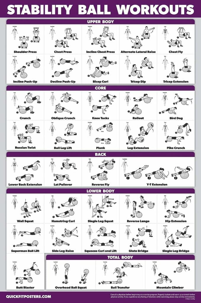 2 Pack: Half Balance Ball Workout Poster + Yoga Ball Exercise Chart - Set of 2 Workout Posters